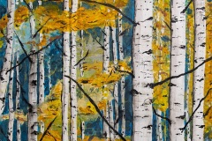 birch-yellow-nanda-patel-00