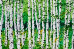 Birch Trees